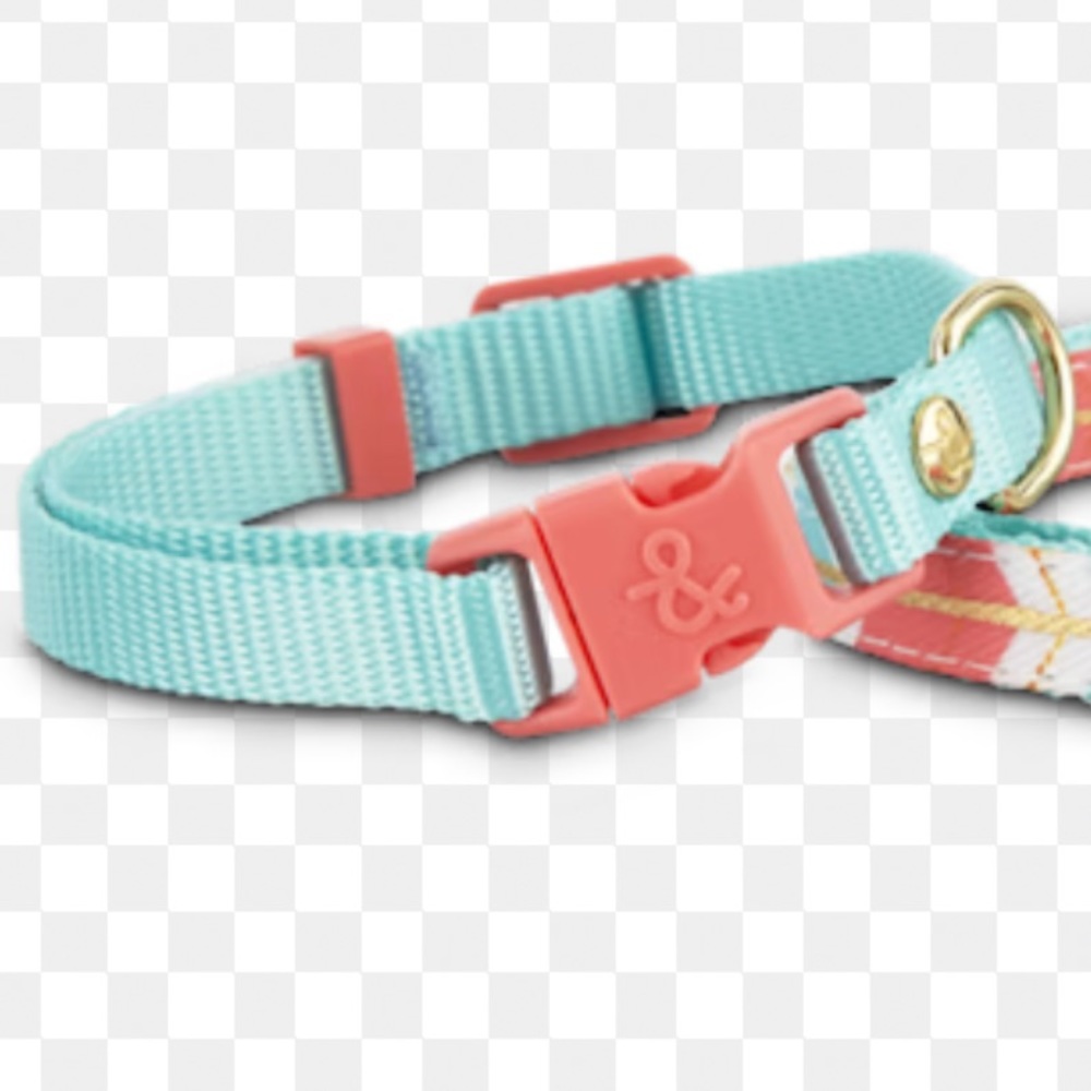 Bond & Co Breast Cancer Awareness Aqua & Pink XS/Small Cat/Dog Collar 8-12”